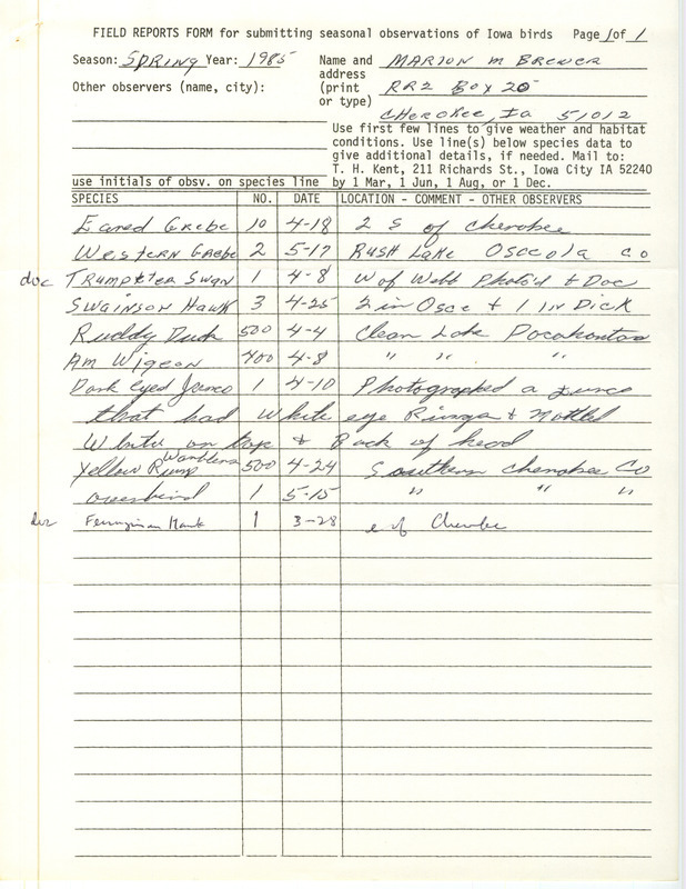 Field notes contributed by Marion M. Brewer listing bird sightings in northwestern Iowa, including a Trumpeter Swan, Dark-eyed Junco, and Ferruginous Hawk. This item was used as supporting documentation for the Iowa Ornithologists' Union Quarterly Report of spring 1985.