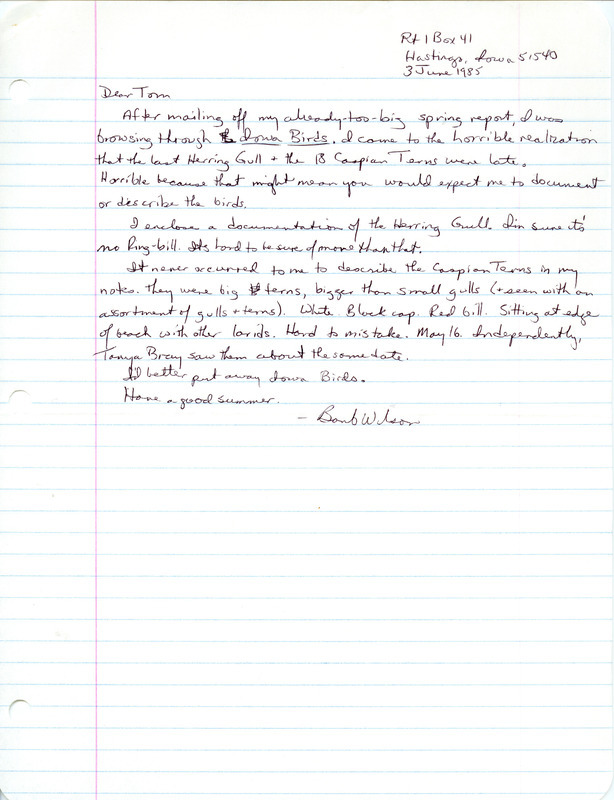 In her letter Wilson notes that she did not document late sightings of a Herring Gull and 18 Caspian Terns and describes the appearance of the terns. This item was used as supporting documentation for the Iowa Ornithologists' Union Quarterly Report of spring 1985.