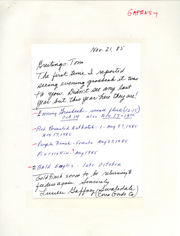 Lucille Gaffney reports that after a year's absence the Evening Grosbeak have returned. She also lists other birds she has sighted. This item was used as supporting documentation for the Iowa Ornithologists Union Quarterly field report of Fall 1985.