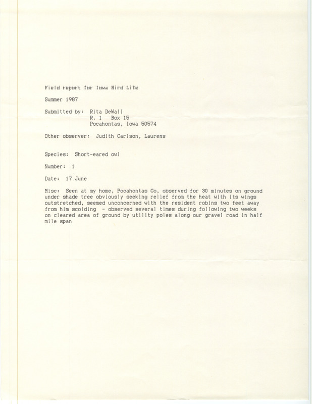 A field report for Iowa Bird Life of a Short-eared Owl sighting contributed by Rita DeWall, June 17, 1987. This item was used as supporting documentation for the Iowa Ornithologists' Union Quarterly field report of summer 1987.