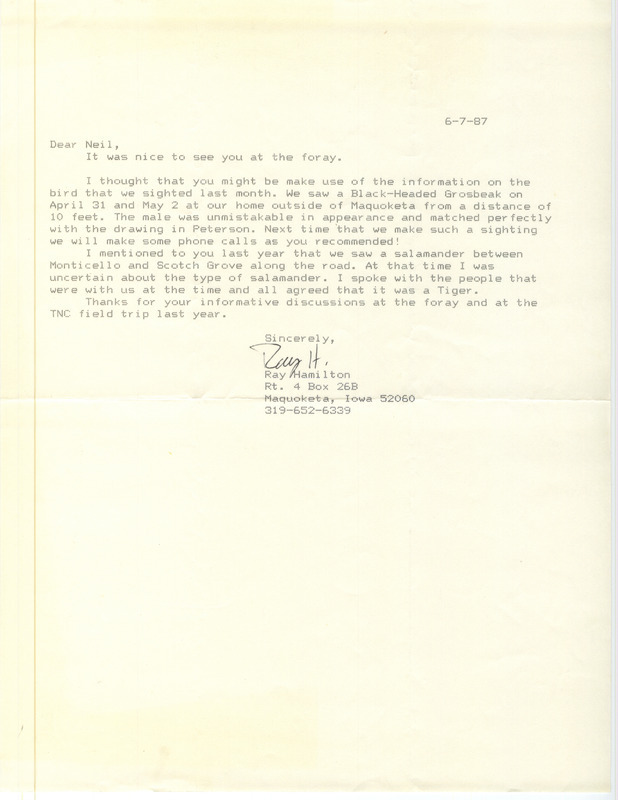 Letter from Ray Hamilton to Neil Bernstein regarding a Black-headed Grosbeak sighting, June 7, 1987. This item was used as supporting documentation for the Iowa Ornithologists' Union Quarterly field report of summer 1987.