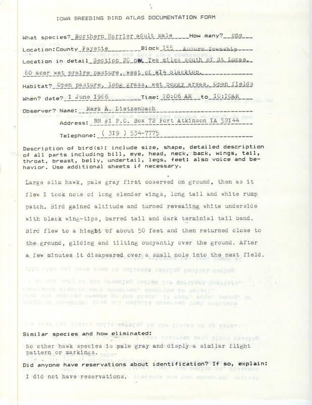 Documentation of a Northern Harrier sighting contributed by Mark A. Dietzenbach, June 1, 1986. This item was part of a group of documents submitted by Doug Reeves for the Iowa Ornithologists' Union Quarterly field report of summer 1987.