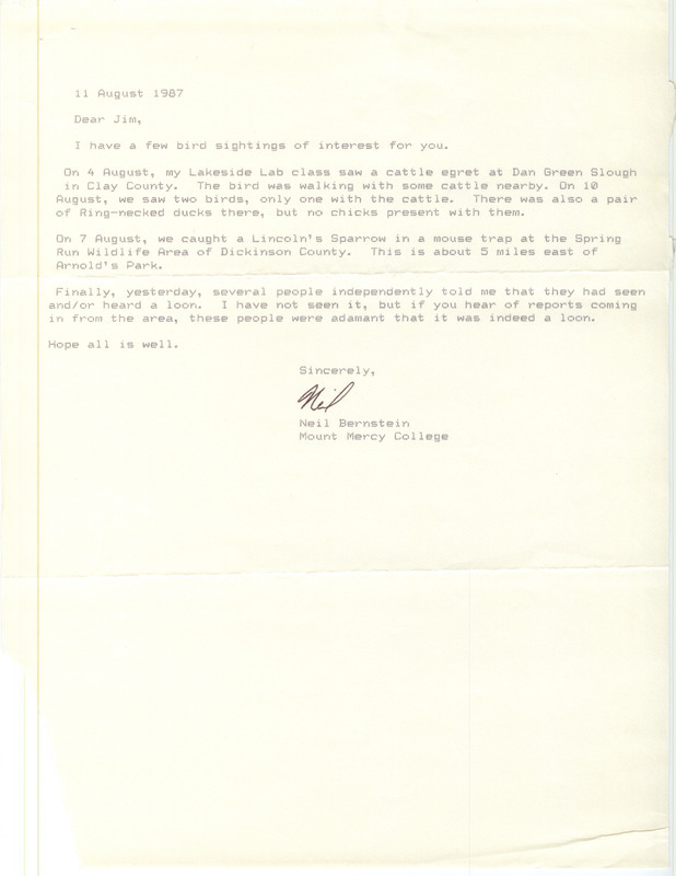 Letter from Neil Bernstein to James J. Dinsmore regarding fall bird sightings, August 11, 1987. This item was used as supporting documentation for the Iowa Ornithologists' Union Quarterly field report of summer 1987.