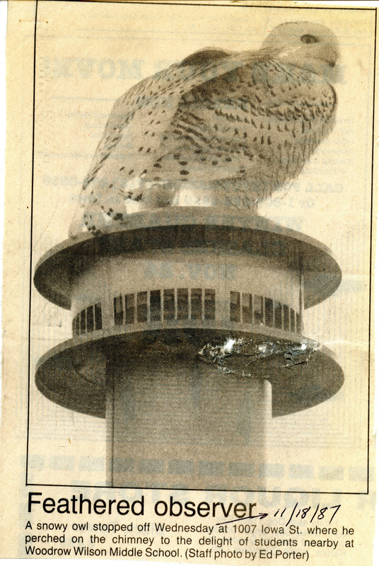 Fall report of birds found in northwest Iowa contributed by Jack Jones. The report also includes a newspaper clipping with a photograph of Snowy Owl. This item was used as supporting documentation for the Iowa Ornithologists' Union Quarterly field report of fall 1987.