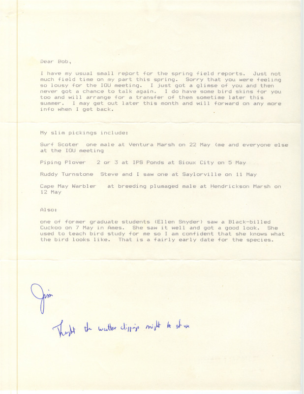 Field notes contributed by James J. Dinsmore in a letter to Robert K. Myers. The field notes include an attachment with additional birds observed by Erwin E. Klaas, Darryl Kroeker and Clayton Swanson. This item was used as supporting documentation for the Iowa Ornithologists Union Quarterly field report of spring 1988.