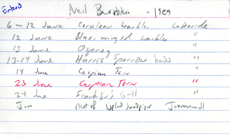 Summer report of birds found in northwest Iowa contributed by Neil Bernstein. This item was used as supporting documentation for the Iowa Ornithologists' Union Quarterly field report of summer 1989.