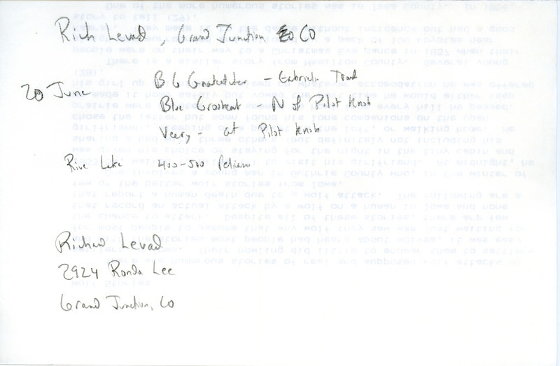 Summer report of birds and locations contributed by Richard Levad. This item was used as supporting documentation for the Iowa Ornithologists' Union Quarterly field report of summer 1989.