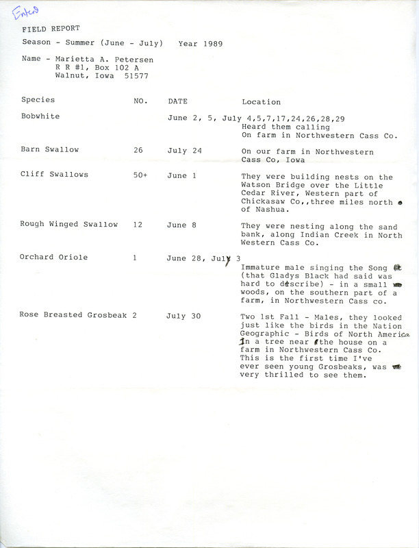 Summer report of birds found in western Iowa contributed by Marietta Petersen. This item was used as supporting documentation for the Iowa Ornithologists' Union Quarterly field report of summer 1989.