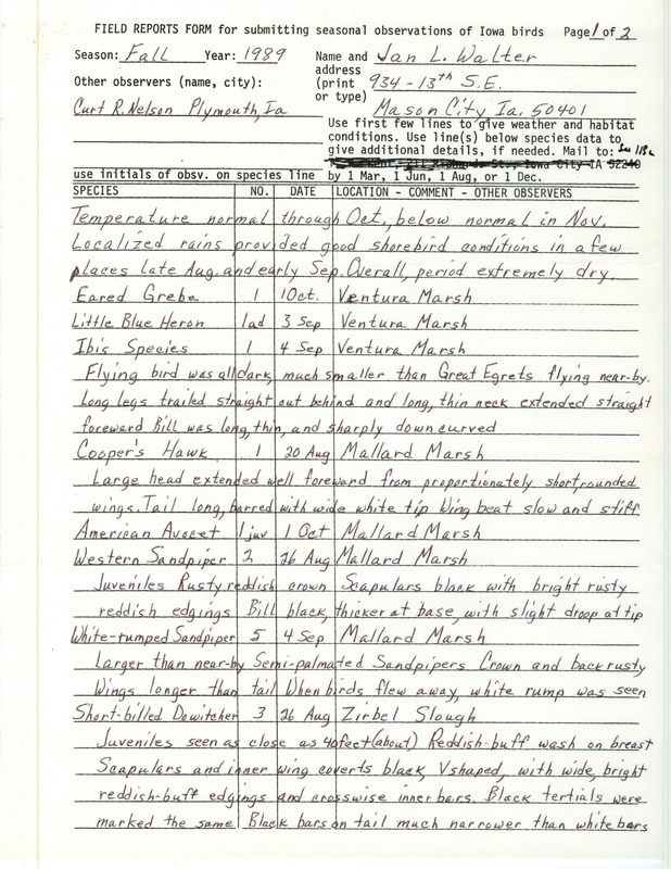 Field reports submitted by Jan L. Walter with contributions by Curt Nelson for fall 1989. This item was used as supporting documentation for the Iowa Ornithologists' Union Quarterly field report of fall 1989.