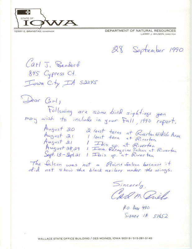 Field reports with some sight detail submitted in a letter from Carl Priebe to Carl Bendorf for fall 1990. This item was used as supporting documentation for the Iowa Ornithologists' Union Quarterly field report of fall 1990.