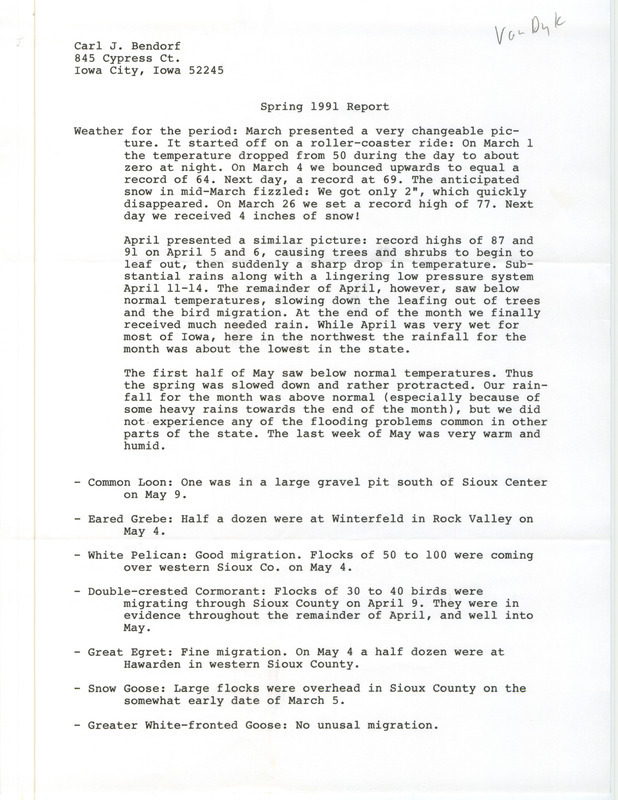 Letter from John Van Dyk to Carl Bendorf containing field reports with detailed sighting information and general description of birding. This item was used as supporting documentation for the Iowa Ornithologists' Union Quarterly field report of spring 1991.