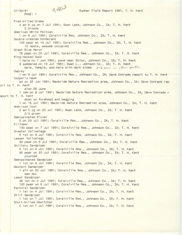 List of birds and locations contributed by Thomas H. Kent. The field notes include bird sightings reported by David J. Conrads. This item was used as supporting documentation for the Iowa Ornithologists Union Quarterly field report of summer 1991.