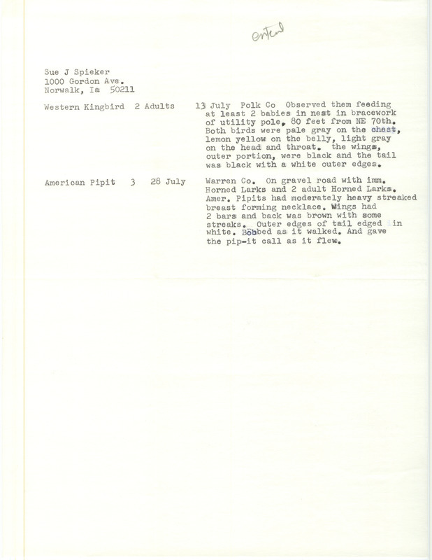 List of birds and locations contributed by Susan Spieker. The field notes consist of detailed observations of the Western Kingbird and the American Pipit. This item was used as supporting documentation for the Iowa Ornithologists' Union Quarterly field report of summer 1991.