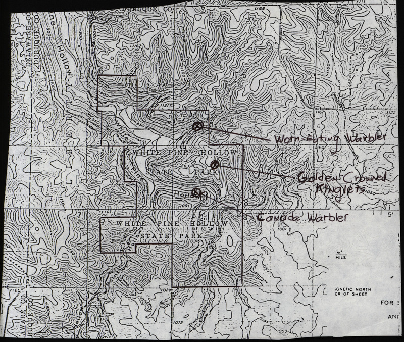 Letter from William Norris to Jim Dinsmore dated June 15, 1994. Norris describes working on a project monitoring birds in five state preserves/parks in North-East Iowa and details some of his bird sightings. Included with this letter is a map of White Pine Hollow State Park which marks the locations of several bird sightings. This item was used as supporting documentation for the Iowa Ornithologists' Union Quarterly field report of Summer 1994.