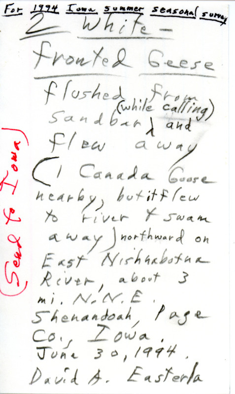 Note dated June 30, 1994. David Easterla describes flushing two Greater White-fronted Geese. This item was used as supporting documentation for the Iowa Ornithologists' Union Quarterly field report of Summer 1994.