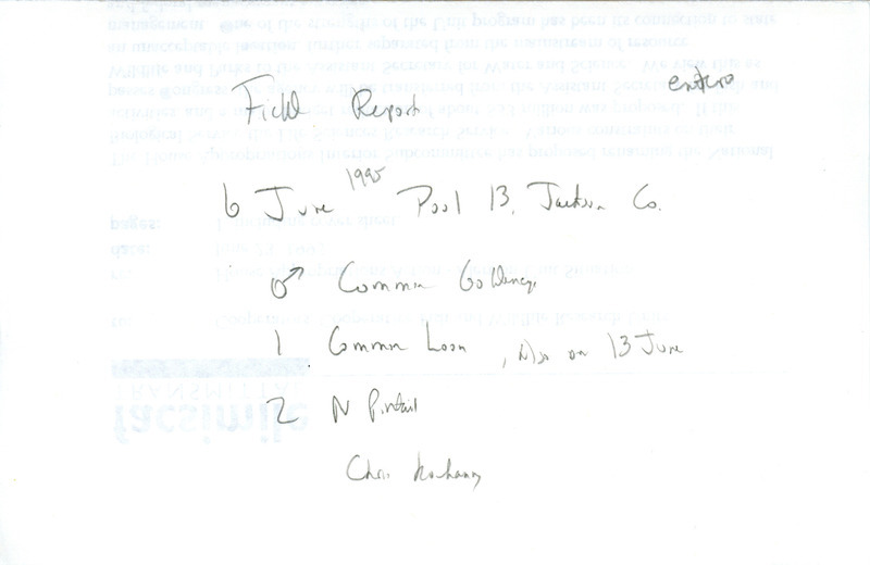 An annotated list of birds sighted by Chris Kochanny dated June 6, 1995. This item was used as supporting documentation for the Iowa Ornithologists' Union Quarterly field report of summer 1995.