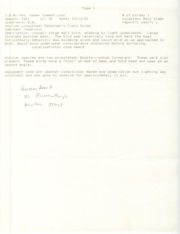 Rare bird documentation form for a Common Loon at Rock Creek in Jasper County, IA on October 12, 1991.