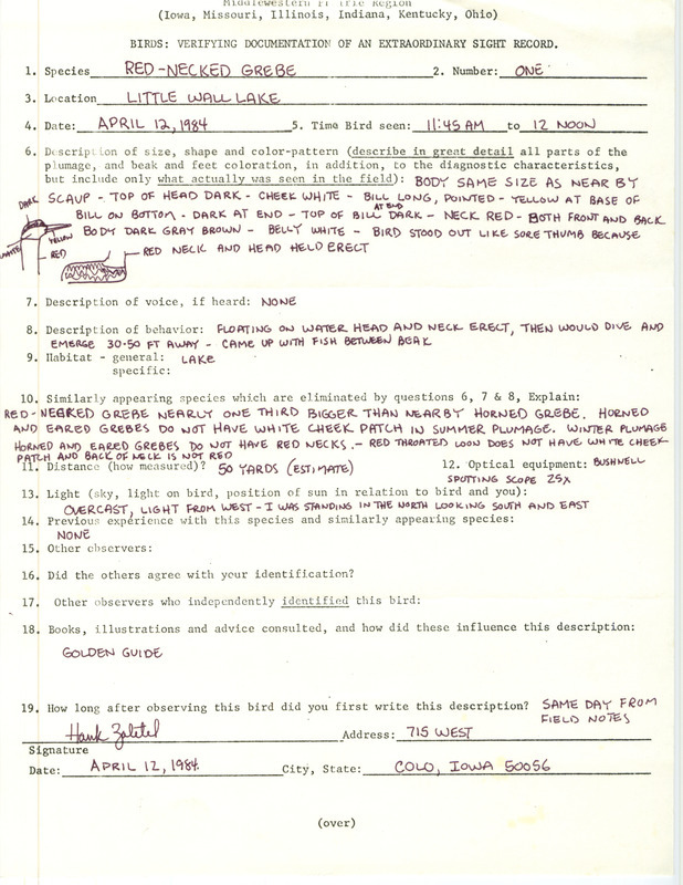 Rare bird documentation form for a Red-necked Grebe at Little Wall Lake in Hamilton County, IA on April 12, 1984.