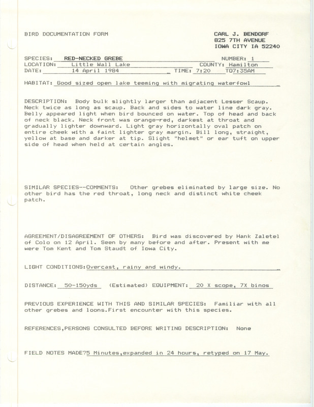 Rare bird documentation form for a Red-necked Grebe at Little Wall Lake in Hamilton County, IA on April 14, 1984.