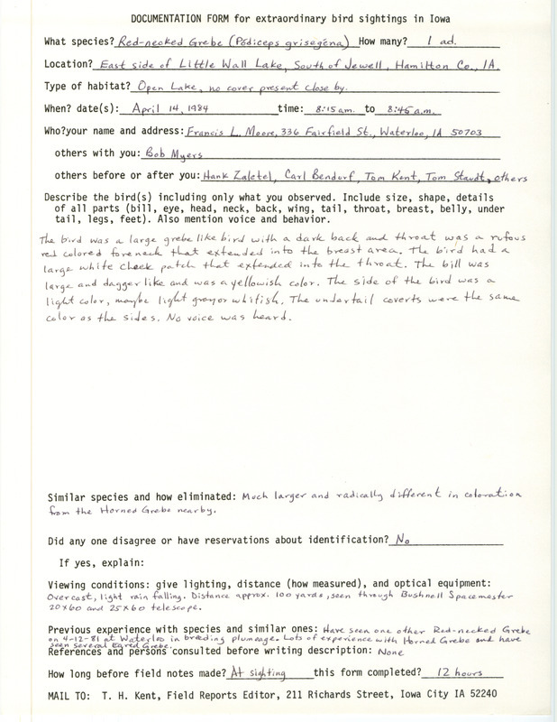 Rare bird documentation form for a Red-necked Grebe at Little Wall Lake south of Jewell in Hamilton County, IA on April 14, 1984.