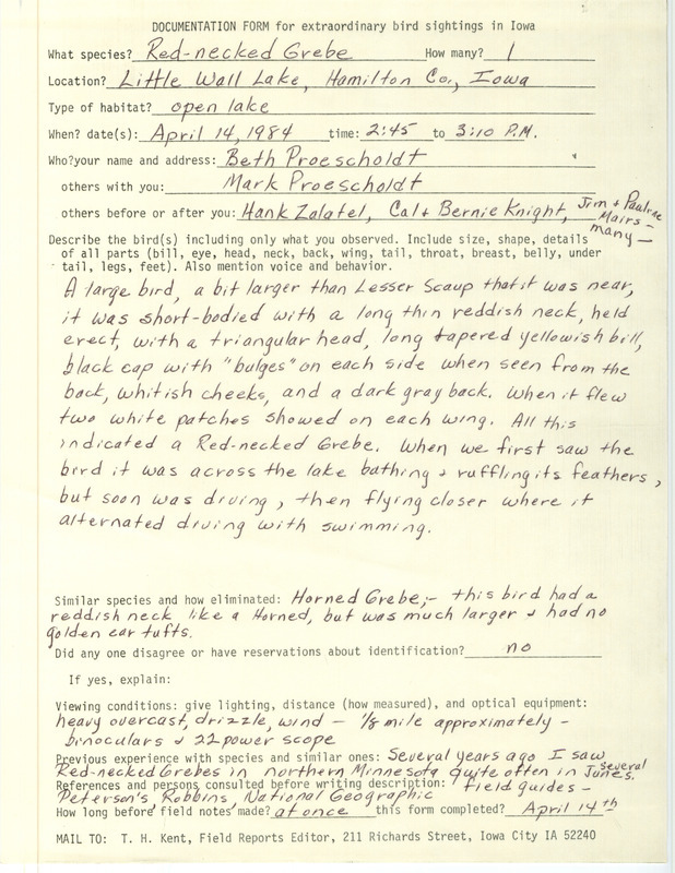 Rare bird documentation form for Red-necked Grebe at Little Wall Lake in Hamilton County, IA on April 14, 1984.