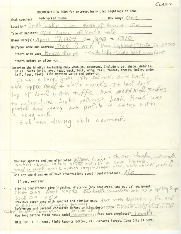 Rare bird documentation form for a Red-necked Grebe at Smith Lake in Kossuth County, IA on April 17, 1984.