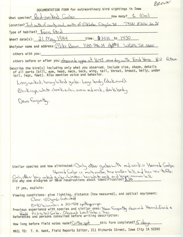 Rare bird documentation form for Red-necked Grebe at Elk Lake in Clay County, IA on May 21, 1984.