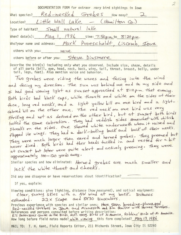 Rare bird documentation for two Red-necked Grebes at Little Wall Lake in Hamilton County, IA on May 1, 1986.