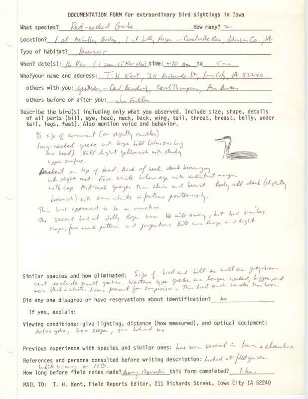 Rare bird documentation form for two Red-necked Grebes at Coralville Reservoir (Jolly Roger Campground and Mehaffey Bridge) in Johnson County, IA on November 16, 1986.