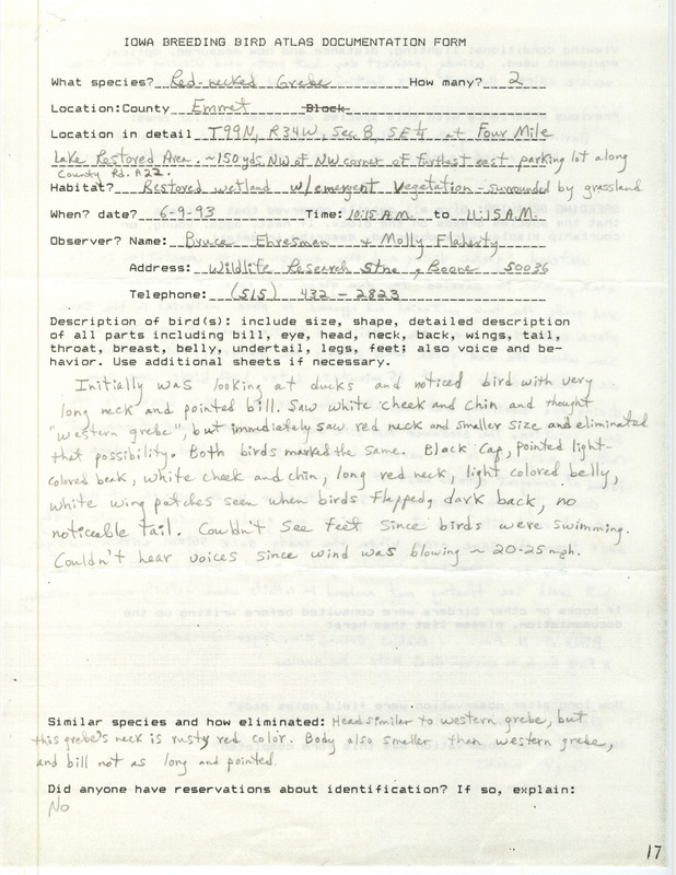 Rare bird documentation form for two Red-necked Grebes at Four Mile Lake in Emmet County, IA on June 9, 1993.