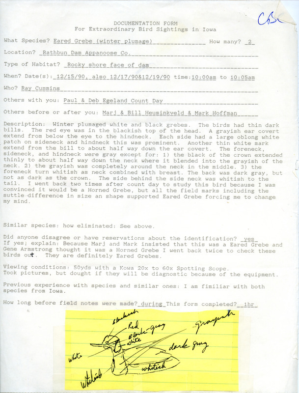 Rare bird documentation form for two Eared Grebes at Rathbun Dam in Appanoose County, IA on December 15, 1990.