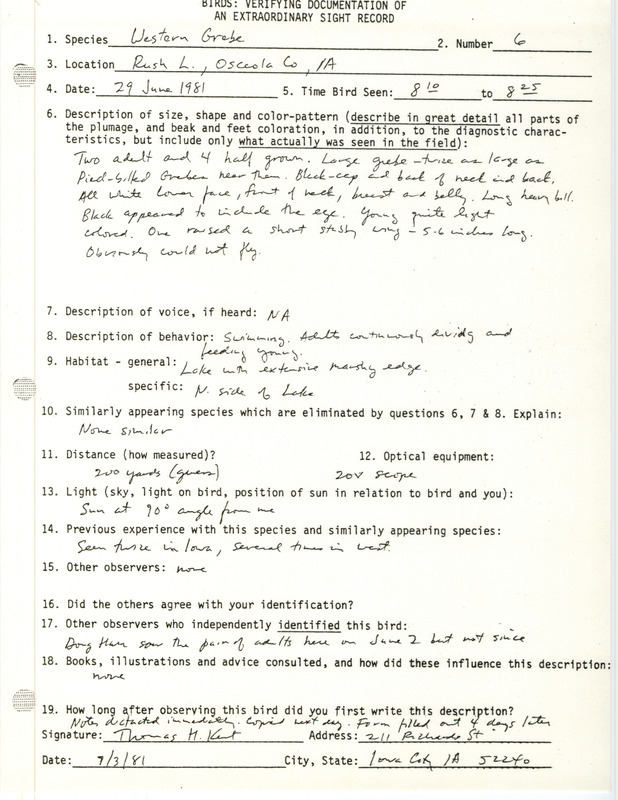 Rare bird documentation form for six Western Grebes at Rush Lake in Osceola County, IA on June 29, 1981.