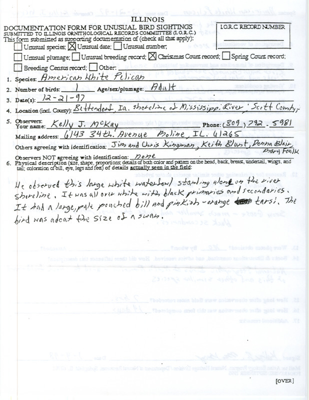 Rare bird documentation form for a American White Pelican at Bettendorf in Scott County, IA on December 21, 1997.