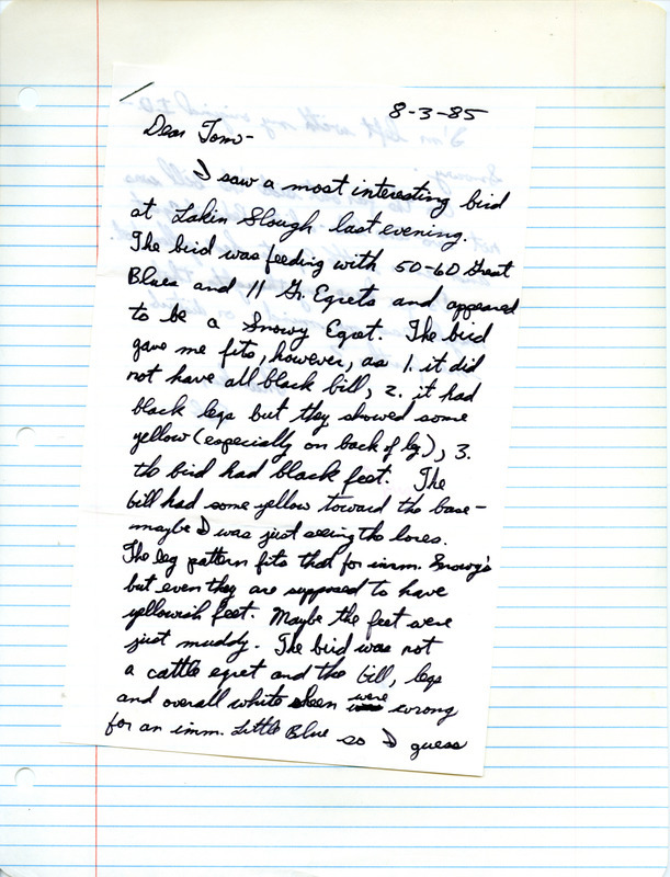 Letter from Robert Myers to Thomas Kent regarding a possible Snowy Egret sighting at Lakin Slough on August 7, 1985.