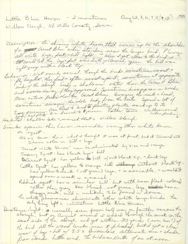 Rare bird documentation form for two Little Blue Heron at Willow Slough in Mills County, IA on August 1, 1979 and several other dates.