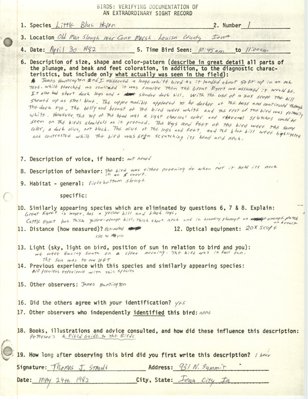 Rare bird documentation form for a Little Blue Heron at Cone March in Louisa County, IA on April 30, 1982.