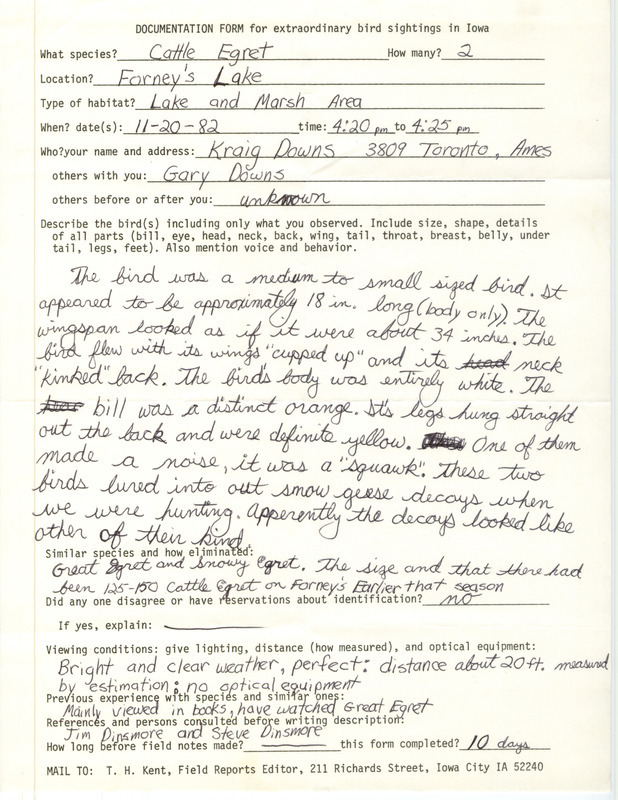 Rare bird documentation form for two Cattle Egrets at Forney's Lake at Fremont County, IA on November 20, 1982.