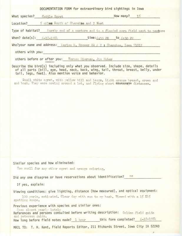 Rare bird documentation for fifteen Cattle Egrets near Cherokee in Cherokee County, IA on June 18, 1984.