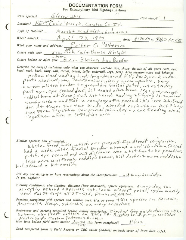 Rare bird documentation form a Glossy Ibis at Cone March in Louisa County, IA on April 23, 1990.