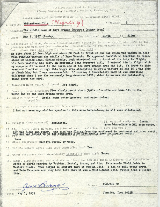 Rare bird documentation form for a White-faced Ibis at Bays Branch in Guthrie County, IA on May 1, 1977.