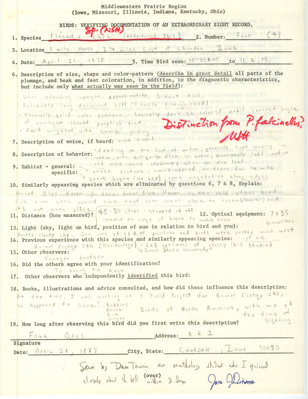 Rare bird documentation form for four White-faced Ibises at Churdan in Greene County, IA on April 21, 1978.