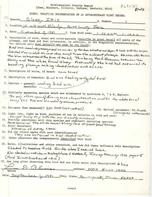 Rare bird documentation form for a Glossy Ibis at Eldridge in Scott County, IA on September 2, 1981.