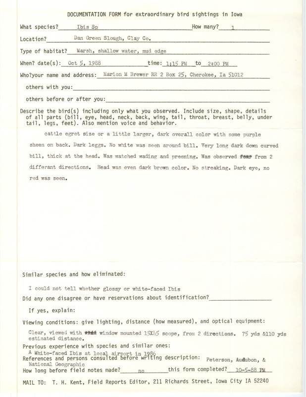 Rare bird documentation form for an Ibis species at Dan Green Slough at Clay County, IA on October 5, 1988.