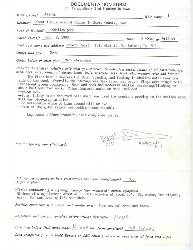 Rare bird documentation form for an Ibis species at Huxley in Story County, IA on September 9, 1990.