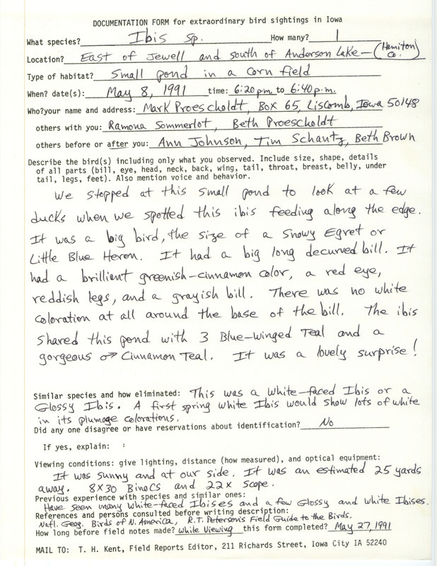 Rare bird documentation form for an Ibis species east of Jewell and south of Anderson Lake in Hamilton County, IA on May 8, 1991.