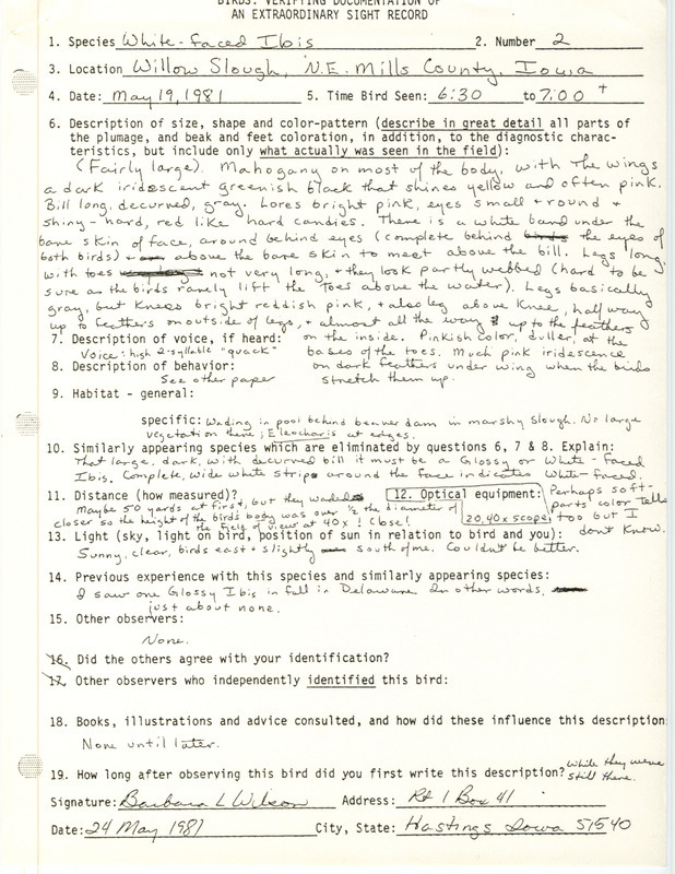 Rare bird documentation form for two White-faced Ibises at Willow Slough in Mills County, IA on May 19, 1981.