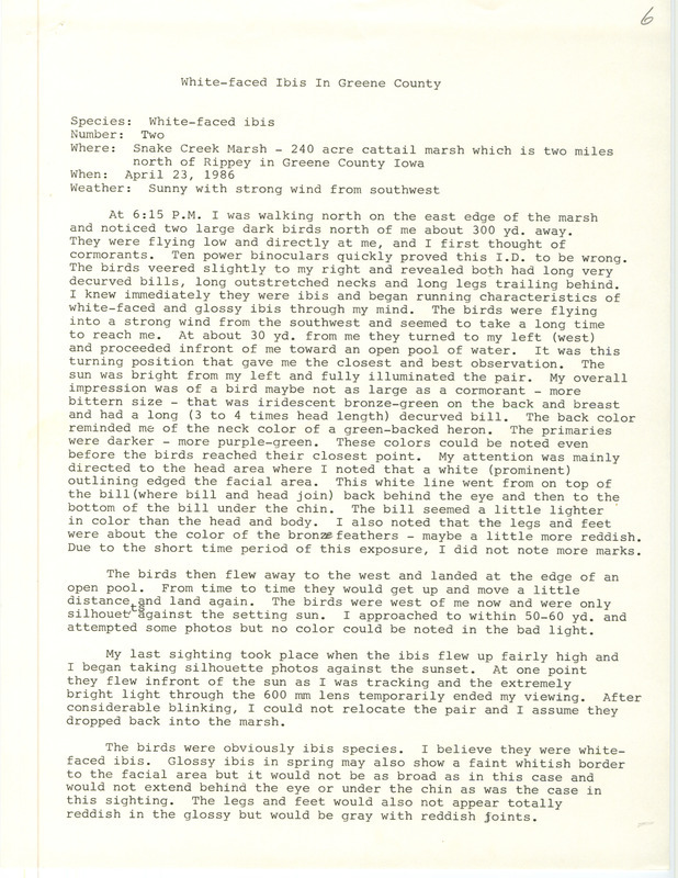 Rare bird documentation form for two White-faced Ibises at Snake Creek March in Greene County, IA on April 23, 1986.