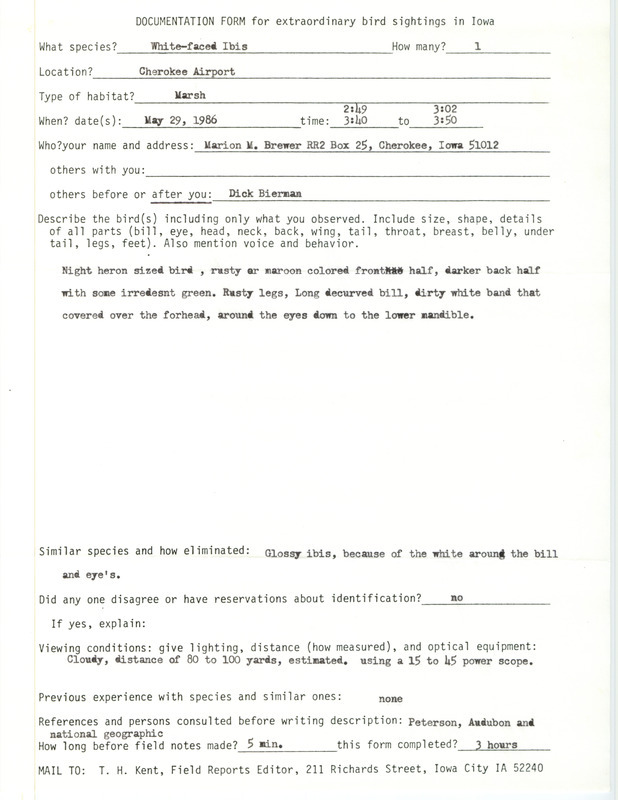 Rare bird documentation form for a White-faced Ibis at Cherokee Airport in Cherokee County, IA on May 29, 1986.