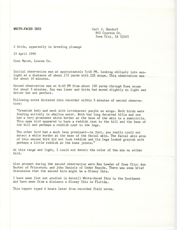 Rare bird documentation form for two White-faced Ibises at Cone March in Louisa County, IA on April 23, 1990.