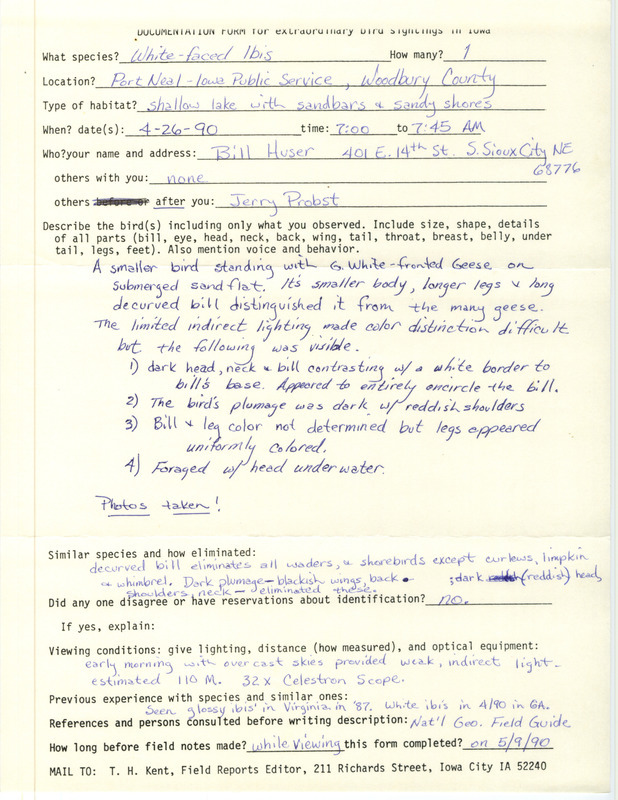 Rare bird documentation form for a White-faced Ibis at Port Neal--Iowa Public Service in Woodbury County, IA on April 26, 1990.